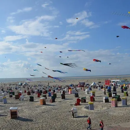 Borkumperle Borkum